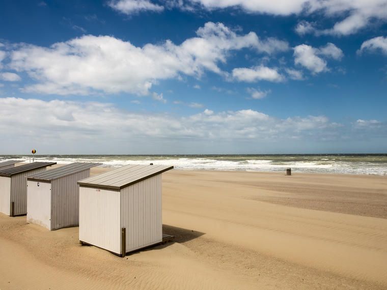 Die schönsten Hundestrände Belgien | NOVASOL.de